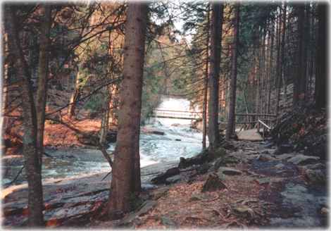 Vom Spaziergang in der Nähe